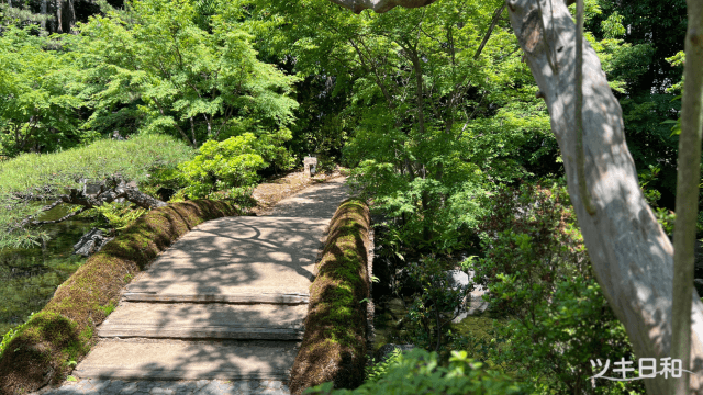 橋