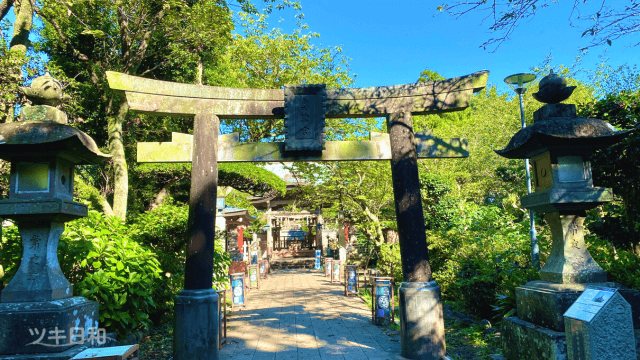 源頼朝が奉納した鳥居