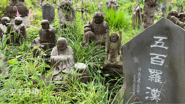 羅漢の仕草は、その人物の性格や物語、教えを反映しています