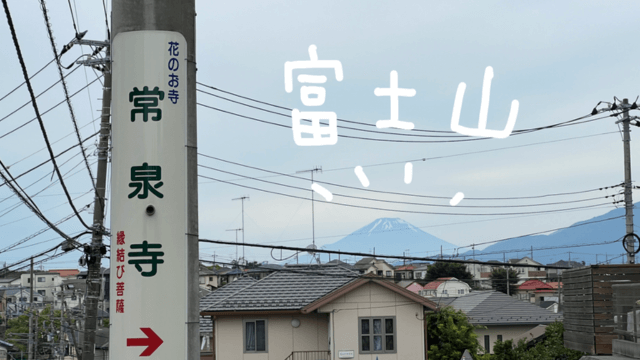 遠くの方に富士山