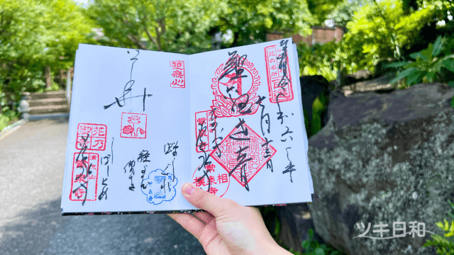 常泉寺7月の御朱印（はす）