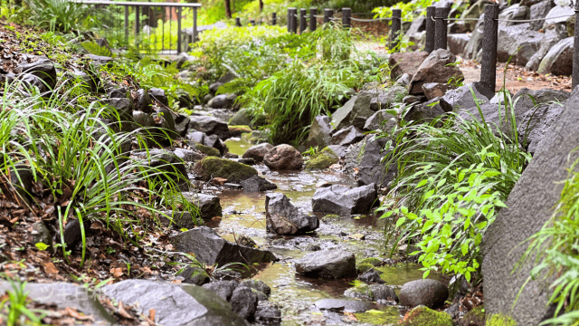 芝公園の中にあるもみじ谷