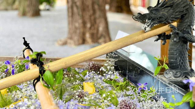 七社神社の花手水