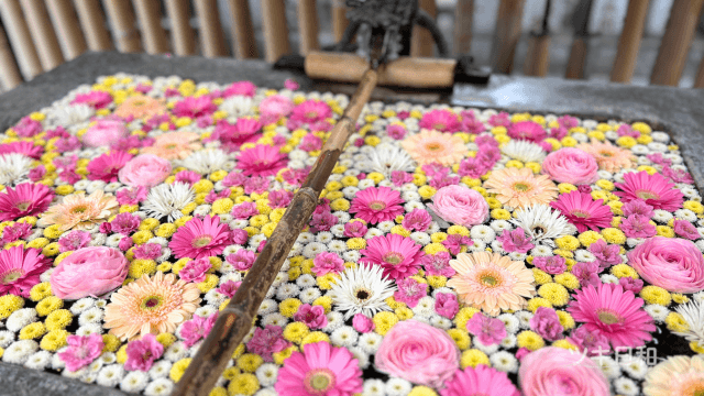 花手水、ピンク・黄色・白などの花で埋め尽くされています