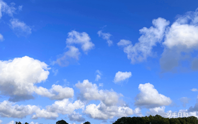 8月は、空を見上げるのも楽しみの一つです。
夏の空には、季節を感じさせる特徴的な雲が現れます。